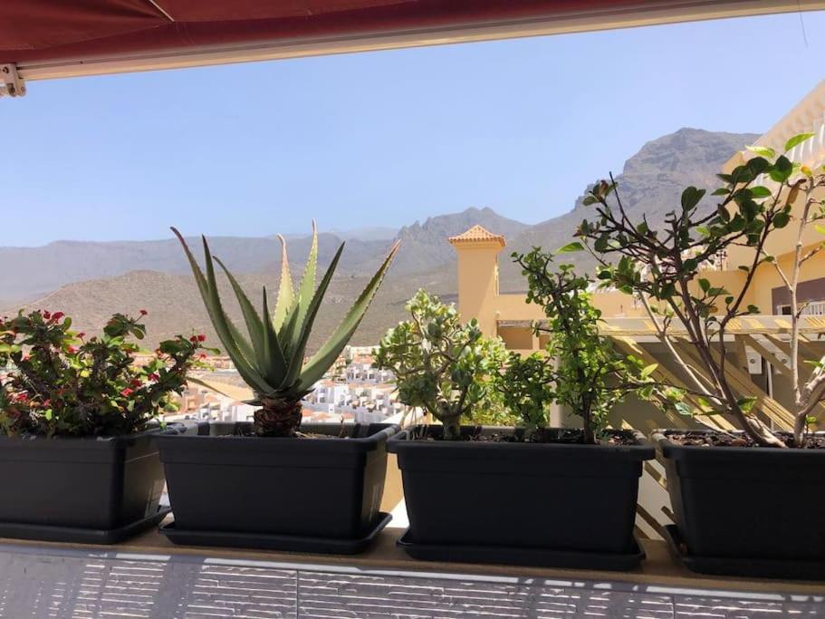 Apartamento Con Impresionantes Vistas Y Piscina Costa Adeje  Ngoại thất bức ảnh